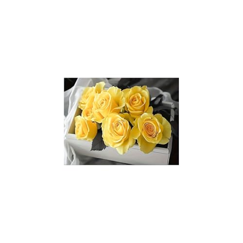 Poster animal mignon bouquet rose jaune 70x100cm accent noir