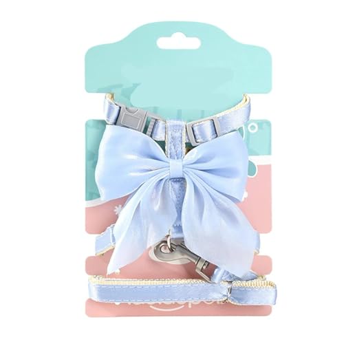 т̔Lpn[lXANZT[ vZXhX RX`[ qL q Lp [V(Blue,M)