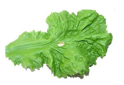 BALSAT Lechuga Pescaderia Artificial Homologada con Registro Sanitario. Decoracion pescaderias - Paquete de 12 ud.