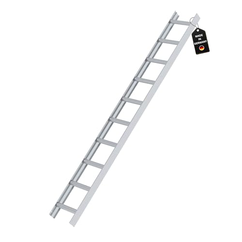 PROREGAL Dachleiter | Alu Natur | 10 Sprossen | Leiter,...