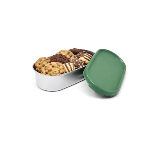 Signoraware Flat Stainless Steel Oval Small Container,(450ml, EGreen), Airtight & Leakproof, Dishwasher safe, Best for School, Office, Picnics & Outdoor Activities, Great for Kids & Adults