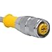 TURCK RK 4.4T-4/S618 Cordset, Straight M12 Female 4 pos to Cut-end; Gray, 4 cond 22AWG 4 m, PVC 4A 250V