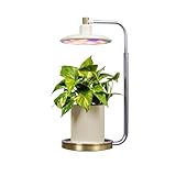 AeroGarden Tabletop Grow Light for Indoor Plants, Grow Live Plants Anywhere in The Home, Adjustable Light Modes, Cream