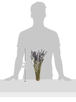 ミシャ　　ラベンダードライフラワー　1300本 マイフラ】 通販/ラベンダーEU ドライフラワー ナチュラル