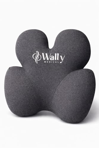 Luxury Lumbar Support Pillow for Office Chair & Car Seat –...