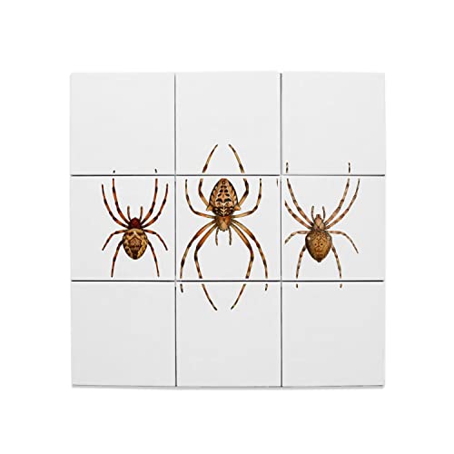 Carreaux céramique araignées illustration vintage pour salon cabinet curiosité