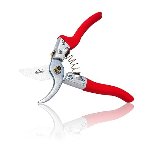Pleasant Plus Cesoie da Potatura, Forbici da Potatura, Cesoie da Giardinaggio, per Giardino, Bonsai, Fiori, Piante, Bambù, Frutta, Rami d'Albero, Vigneti, Lama in Acciaio SK5,