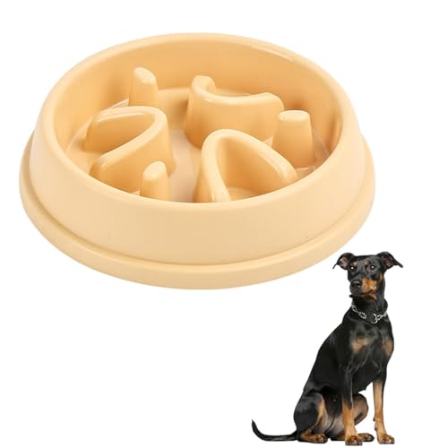 Lifetips W[}EsV[ ybgpX[t[h{E Lp Hh~  Փx ~ 􂢂₷ NǗ 킢fUC iA^Cv N[CG[j