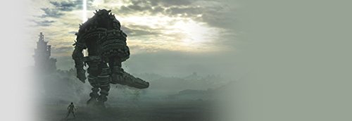 Shadow of the Colossus (PS4)
