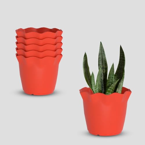 Image of YUCCABE ITALIA SHERA 8 Inch Plastic Flower Pot 6 Piece Set of Unbreakable Round Shape Planter for Home Garden Seedling, Indoor and Outdoor (Red)