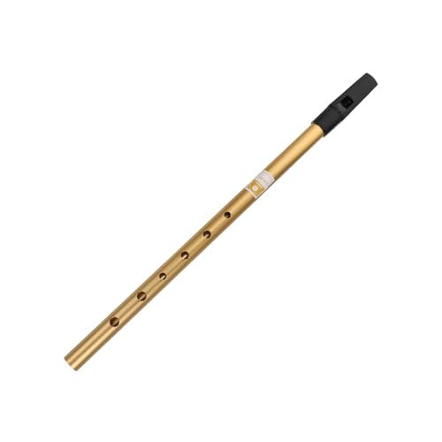 NULYLU Mini Soprano Recorders Boys and Girls Learning Instrument Aluminum Alloy High Pitch c Clarinet Perfect Music Toy for Boys and Girls