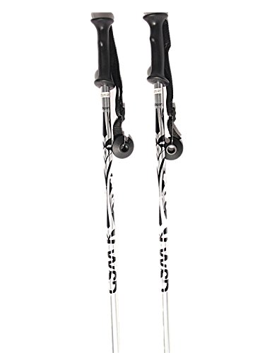 WSD Ski Poles Adult Downhill Alpine 2018 Model Aluminum Silver Ski Poles Pair with Baskets (130cm/52)