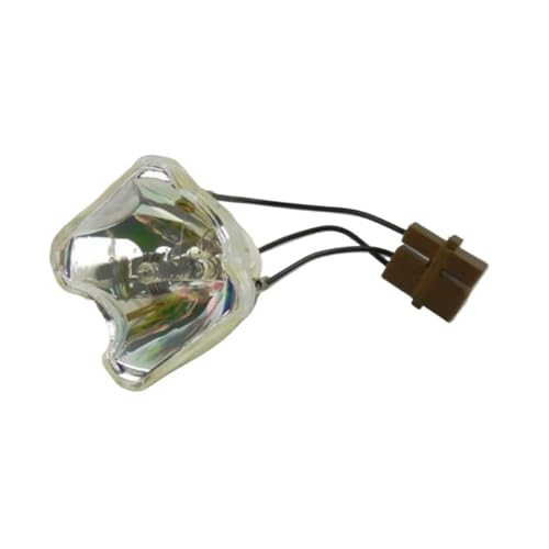 VT80LP Ampoule de Remplacement Haute Performance pour Projecteur VT49 VT58