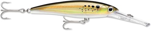 Rapala X-Rap Magnum Saltwater Trolling Lure, Offshore Hard Bait, Tuna Wahoo Mahi Fishing Lure, High Speed, 4-3/4