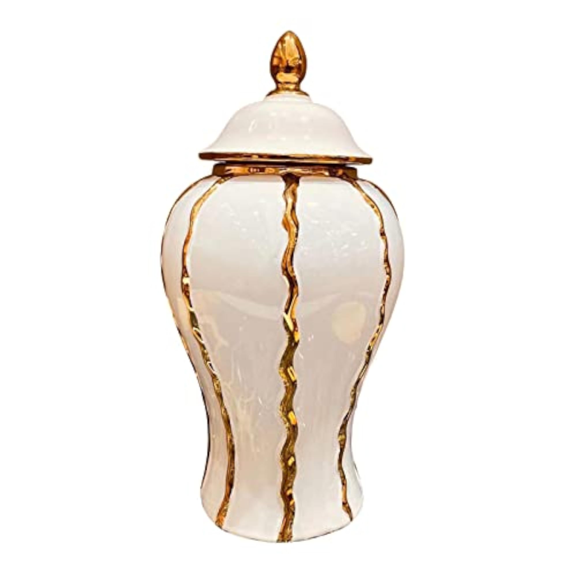 Porcelain Ginger Jar Storage Plants Holder