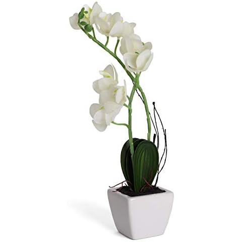 Bornbridge Artificial Orchid - Fake Orchid Plant with Real Touch Flowers - Faux Orchid with Long Stem Artificial Flowers - Potted Orchid/Plastic Orchid Fake Flowers - (Medium, White Orchid) Cover