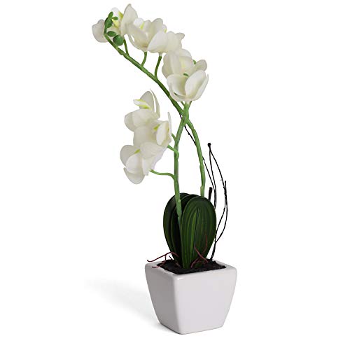 Bornbridge Artificial Orchid - Fake Orchid Plant with Real Touch Flowers - Faux Orchid with Long Stem Artificial Flowers - Potted Orchid/Plastic Orchid Fake Flowers - (Medium, White Orchid)