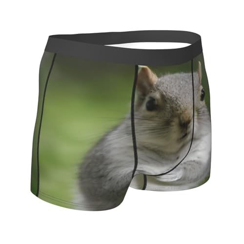 Squirrel Men'S Boxer Briefs, Soft Boxer Shorts, Breathable Microfiber Mens Trunks Underwear3