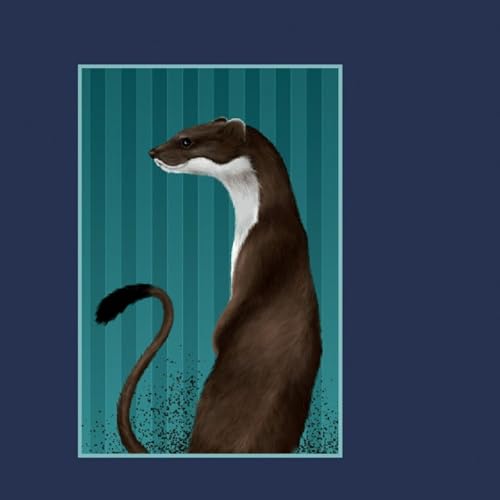 'I MIEI STUPIDI INTENTI' Bernardo Zannoni 2022