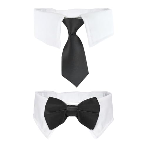 ccHuDE 2 ybg ^LV[hJ[ L  {E^C ̎ lN^C q tH[} lbN^C EFfBO LeB lN^C ^p