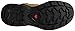 Salomon Men's Quest 4D 3 GTX Backpacking Boots