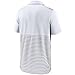Nike Men's MLB Home Plate Striped Polo (US, Alpha, X-Large, Regular, Regular, White/Grey/Black, Chicago White Sox)