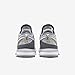 NIKE Lebron NXXT Gen Basketball Shoes (DR8784-004,Wolf Grey/White-Iron Grey-Black) Size 9