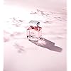 Antonio-Banderas-Perfumes-Queen-of-Seduction-Lively-Muse-Eau-de-Toilette-Spray-for-Women-Floral-Fruity-Fragrance-27-Fl-Oz Antonio Banderas Seduction Women Universe (Queen Of Seduction Lively Muse, 2.7 Fl Oz (Pack of 1))