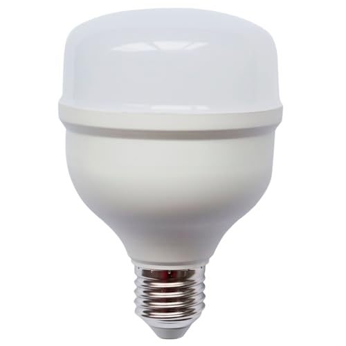 Lampada Led Bulbo 30W Luz Neutra 4000K Alta Potencia
