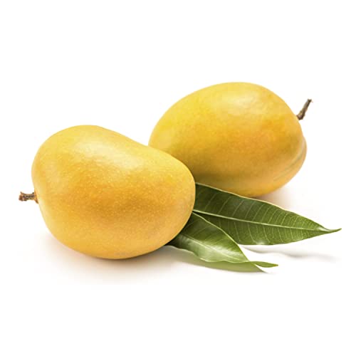 Alphonso Mango 1 kg Approx.