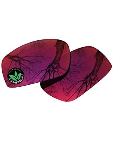 Image of Raydi Polycarbonate Replacement Lenses for Wiley X Valor Sunglass