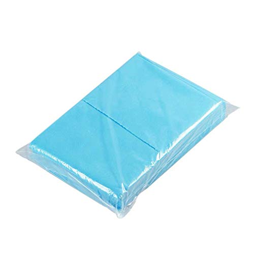 Healifty 10 peças de lençóis descartáveis SPA Salão de Massagem Não Tecido para Cama (azul)