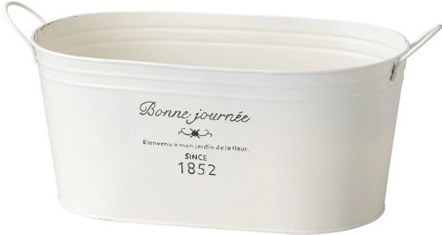 �P�[�E�C�[�E�A�C GREEN HOUSE French Tin �i�`�������u���L�|�b�g �I�[�o��L �z���C�g 3141-A