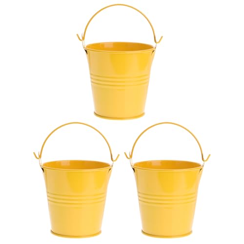 Gatuida Lot de 3 Petits Seaux en Fer Blanc Taille Moyenne Décor Rustique pour Jardinage et Décoration D’Intérieur Mini Seaux Polyvalents pour Plantes Séchées et Compositions Botaniques