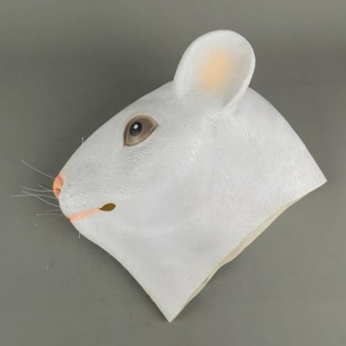 Photo complémentaire