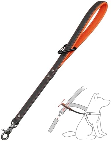 Dog Seat Belt for Car – 14 Inch, Leather, Any Breeds