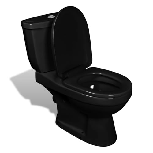 ShGaxin Toilette mit Spülkasten Schwarz