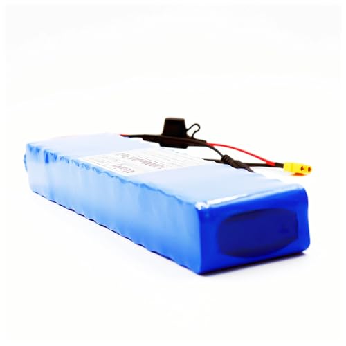 E-Bike Battery Pack 48V 20Ah 13S2P with 1000W Conversion Kit and 54.6V 2A Charger XT60 Connector for Electric Bike Upgrades and Performance Enhancement