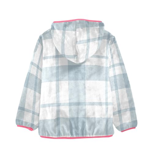 Blue Gingham Stripes Sherpa Lined Toddler Hoodie2