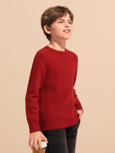 Haloumoning Boys Texture Sweater Kids Crewneck Long Sleeve Knit Pullover Sweater Fall Winter Clothes 5-14 Years3