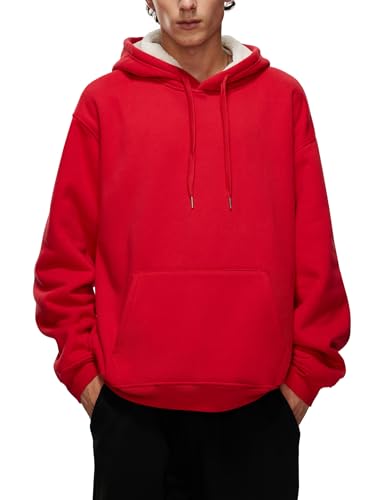 Iwing Hoodies Sweatshirts for Men Heavyweight Fleece Hoodie Oversized Weighted Cotton Warm Sweatshirt Women Fall Winter