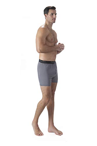 Chill Boys Soft Bamboo Boxers For Men - Cool Comfortable, Breathable Mens Underwear - Boxer Shorts (Large, Bamboo Grey) #TOP6