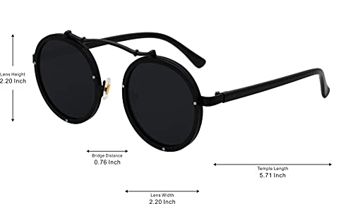 J&L Glasses Vintage Round Steampunk Sunglasses Metal Frame For Men or Women 17622