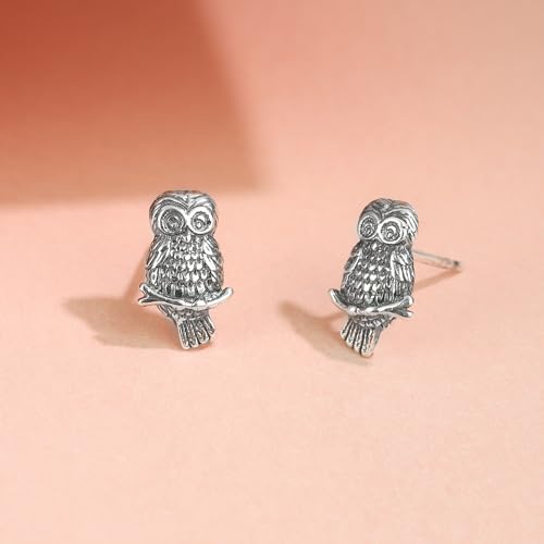 Boma Jewelry Sterling Silver Oxidized Owl Stud Earrings3