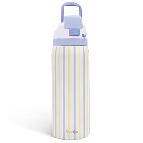 Image of Stripe Stainless Steel Water Bottle, Vacuum Insulated, Push-Button Lid, 32 oz, Gifts for Women Girls Friends Teens Birthday Christmas