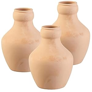 Royal Gardineer Olla 3er-Set Terrakotta Bewässerungskugeln 3 Liter
