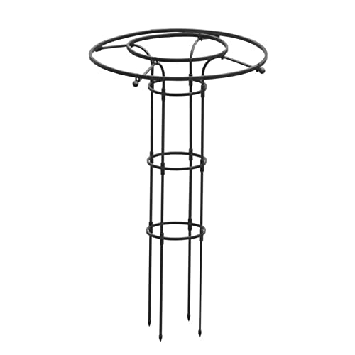 Support vertical en métal pour plantes grimpantes de jardin