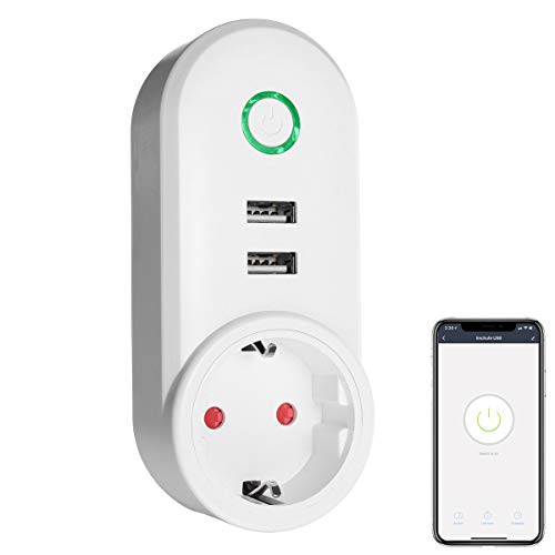 Prise intelligente, prise USB WiFi fonctionne avec Siri Amazon Alexa Echo, Google Home, 2 prises USB 2.1 intelligentes si intelligent, contrôle App Smart Life & Tuya Smart Cover