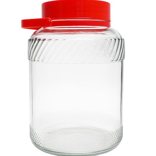 isigno Barco de vidro grande com pega de 5 litros com tampa dupla 5 litros com pega perfeita para alimentos húmidos e secos em conserva artigos bidão de vidro resistente