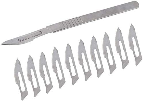 Forgesy 1 Set of 10PCS. #10 NO. Carbon Steel Scalpel Surgical Blades +# 3 NO. B.P. Handle